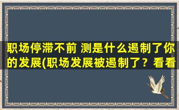 职场停滞不前 测是什么遏制了你的发展(职场发展被遏制了？看看是哪些因素拖了你的后腿)